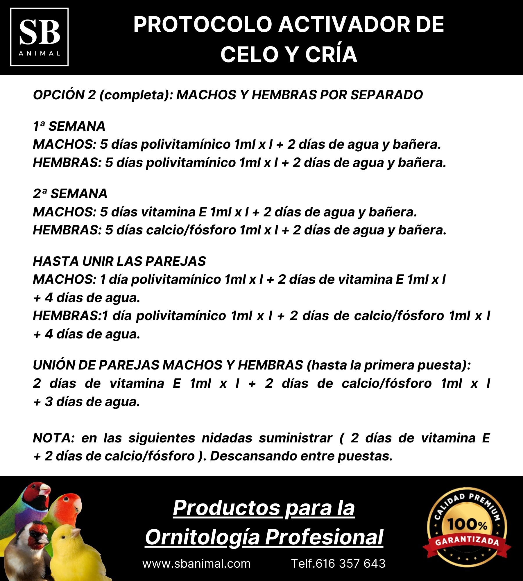 PROTOCOLO CELO COMPLETA