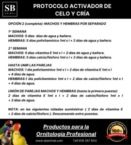 PROTOCOLO CELO COMPLETA