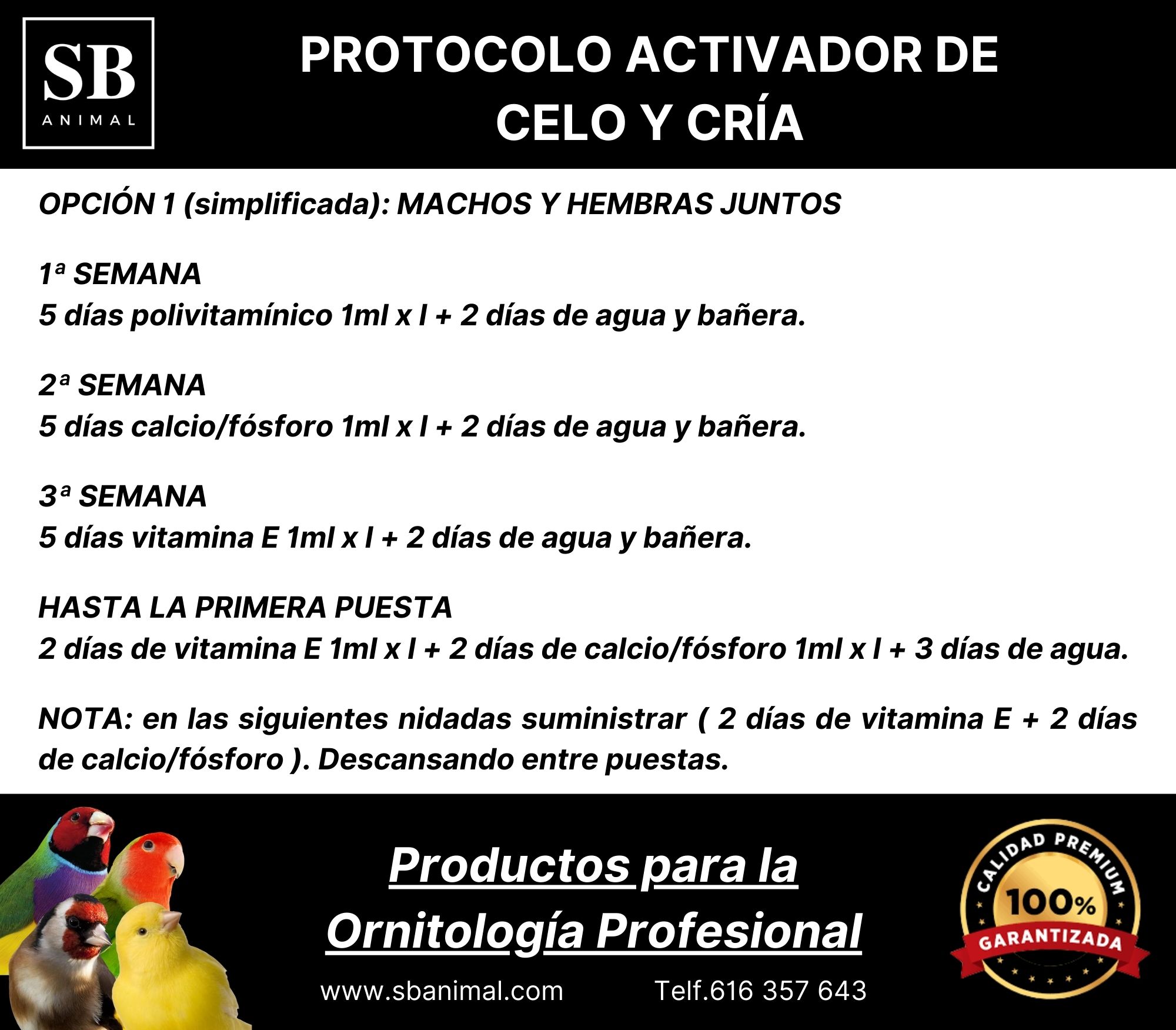 PROTOCOLO CELO SIMPLIFICADA