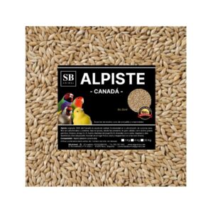 alpiste canada