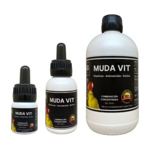 muda vit